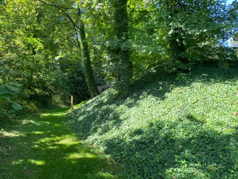 Escarpe et fossé de la Motte féodale