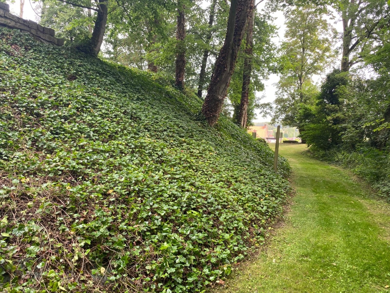 Escarpe et fossé de la Motte féodale