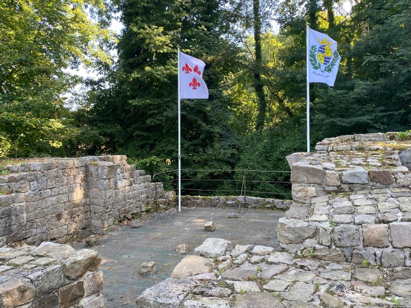 Tour résidentielle de la Motte féodale